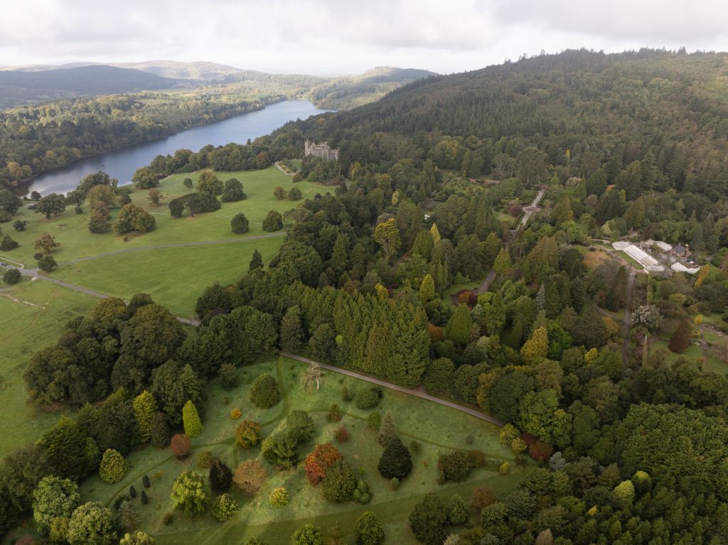 Council to Explore Installing Northern Ireland's First Treetop Walk at Castlewellan Forest Park