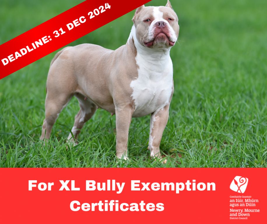 Council Urges XL Bully Owners to Apply for Exemption Certificates